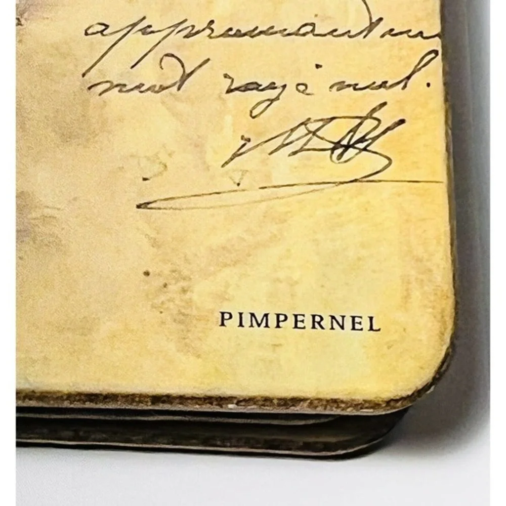 Pimpernel Cork Placemats Set of 4 Pamela Murray HARD TO FIND